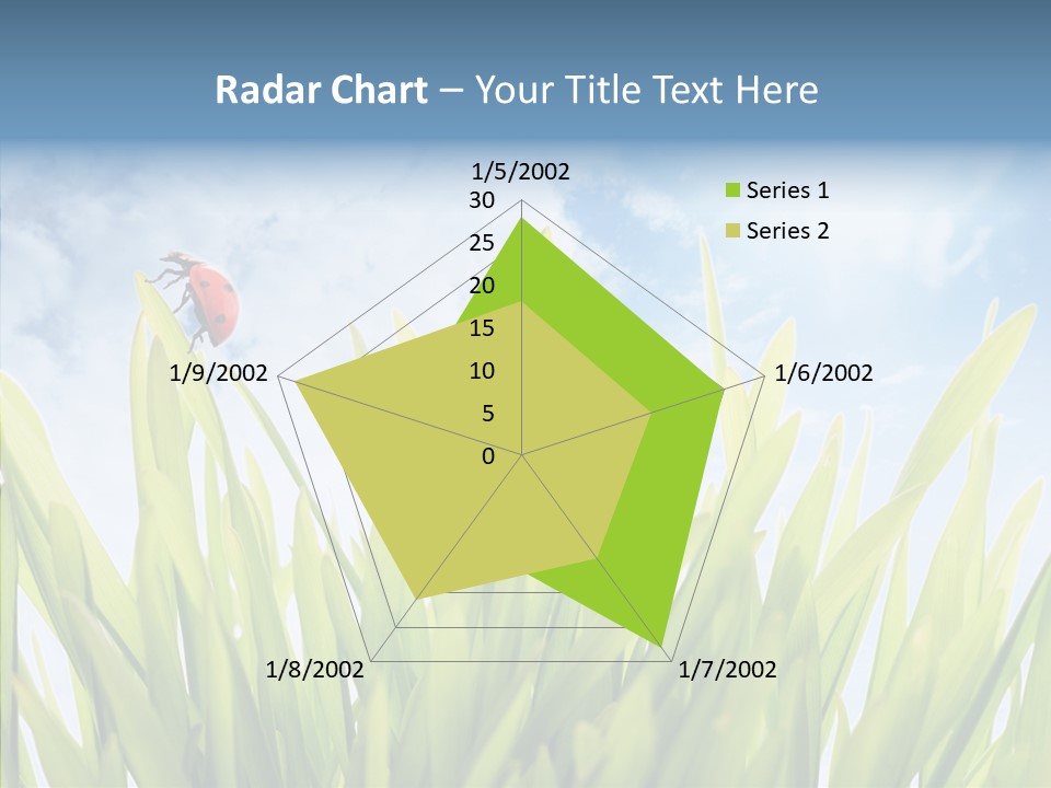 Background Meadow Flower PowerPoint Template
