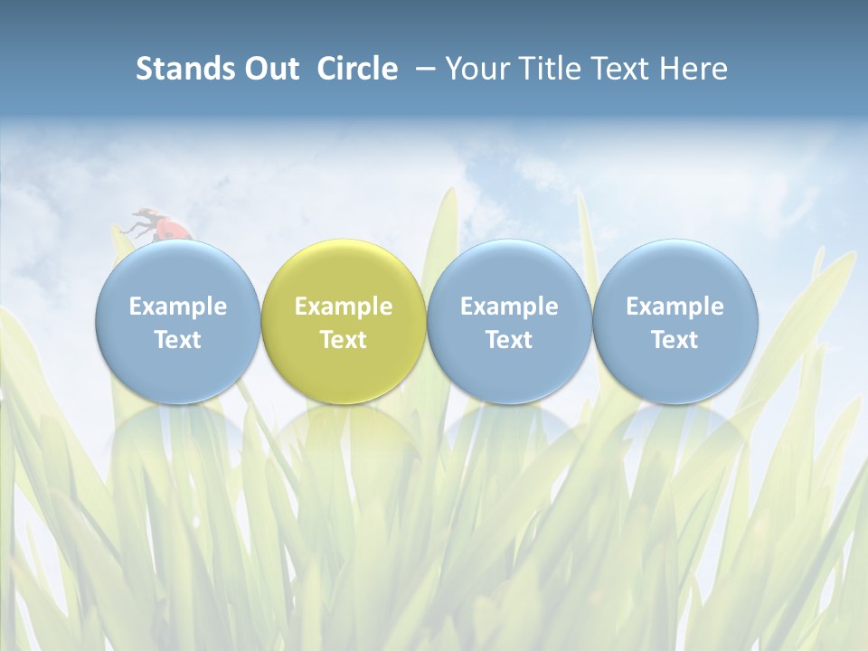 Background Meadow Flower PowerPoint Template