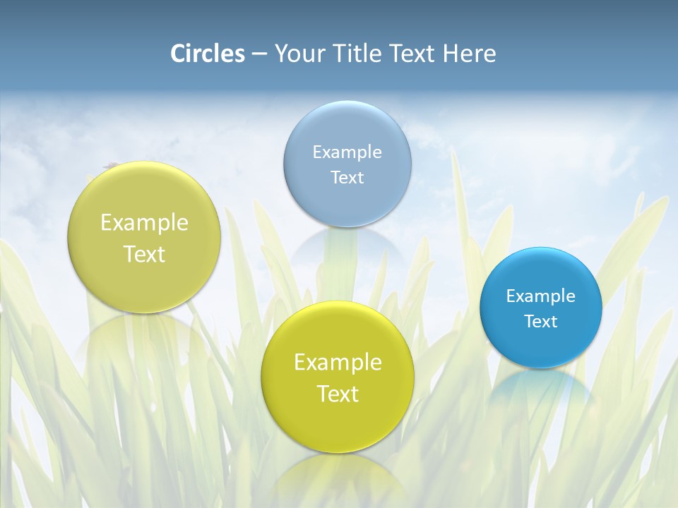 Background Meadow Flower PowerPoint Template