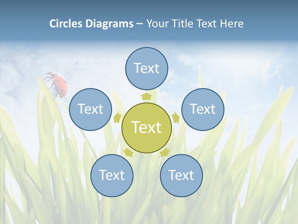 Background Meadow Flower PowerPoint Template