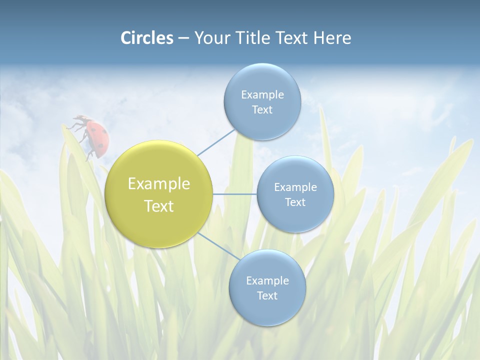 Background Meadow Flower PowerPoint Template