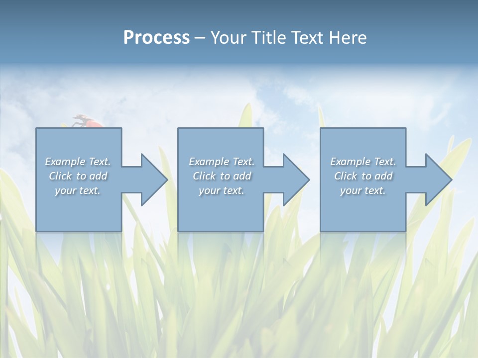 Background Meadow Flower PowerPoint Template