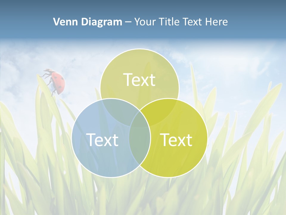 Background Meadow Flower PowerPoint Template