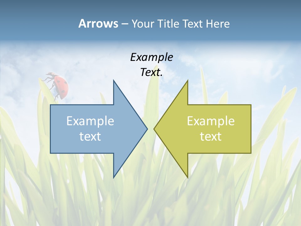 Background Meadow Flower PowerPoint Template