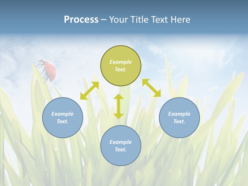 Background Meadow Flower PowerPoint Template