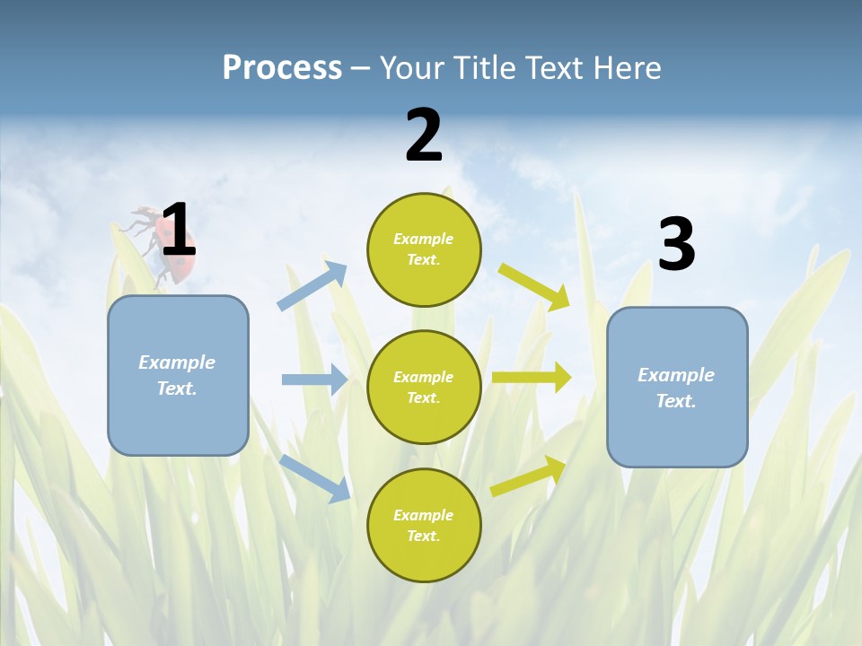 Background Meadow Flower PowerPoint Template