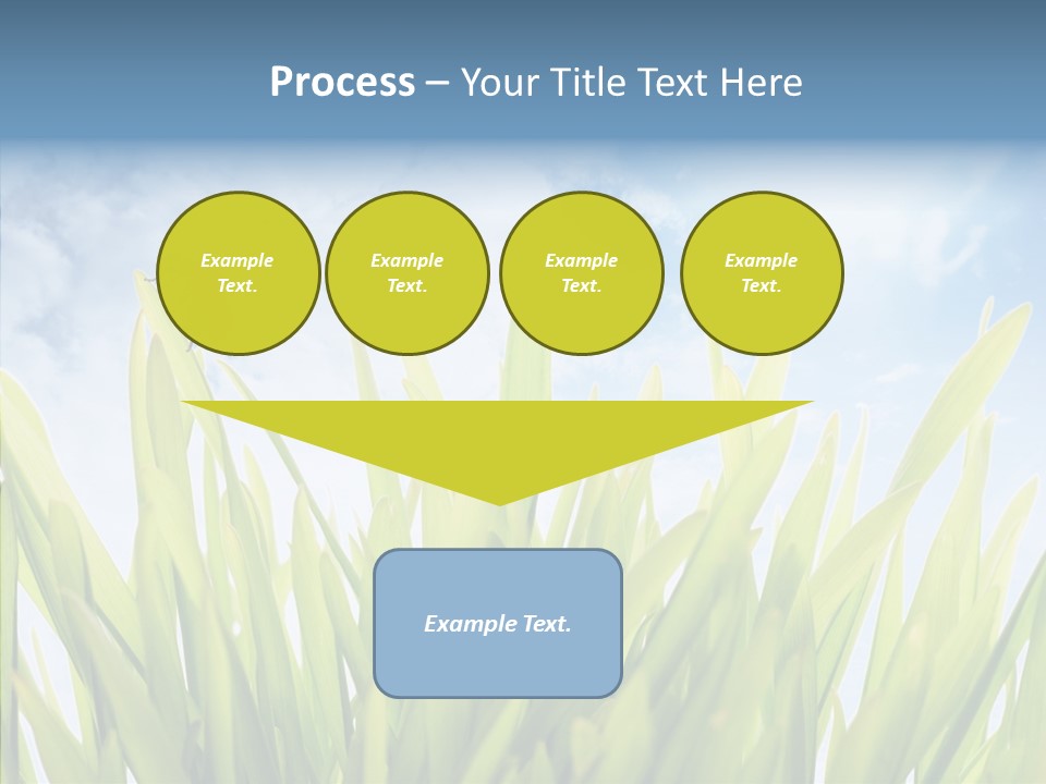 Background Meadow Flower PowerPoint Template