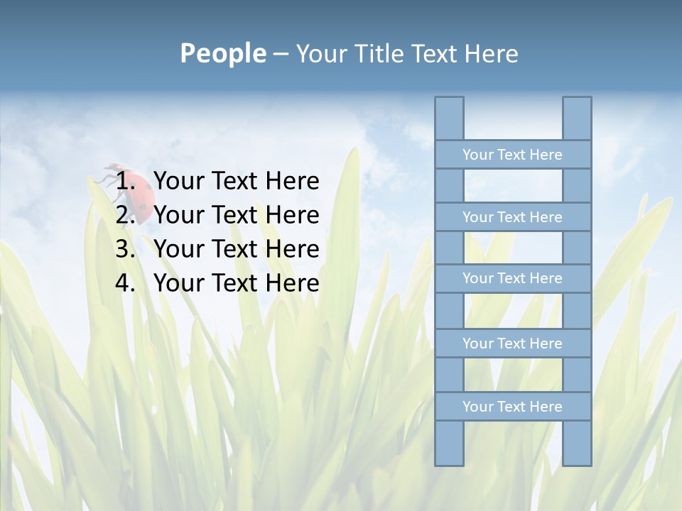 Background Meadow Flower PowerPoint Template