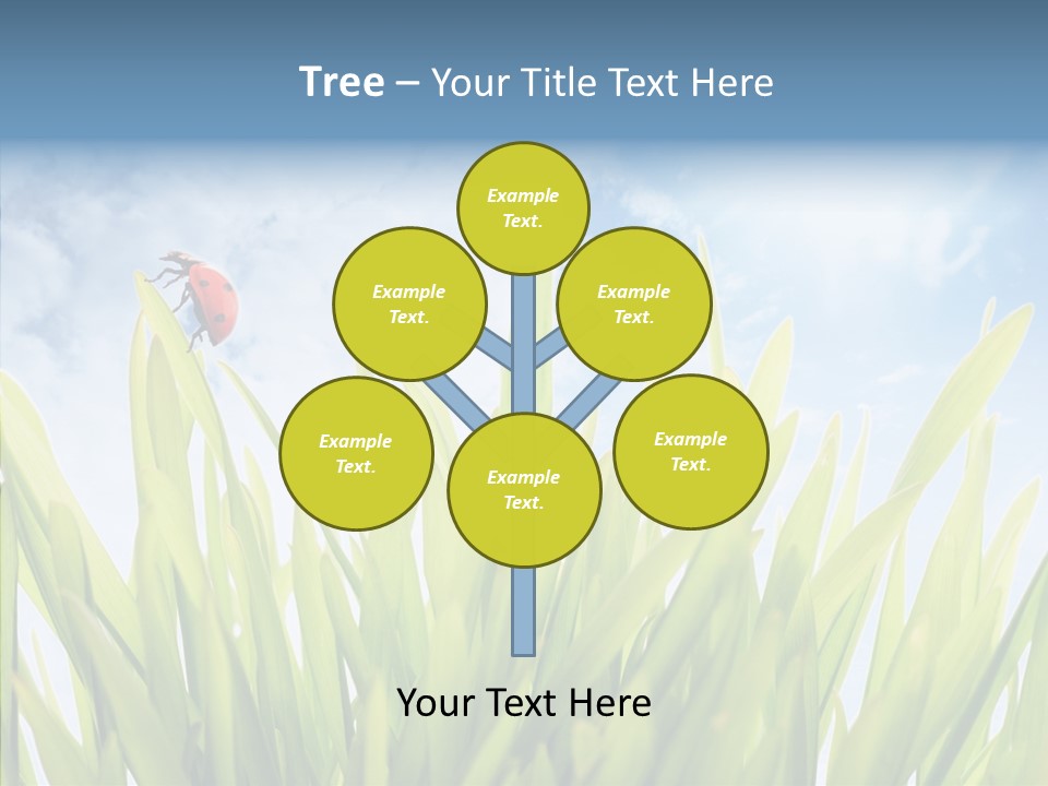 Background Meadow Flower PowerPoint Template