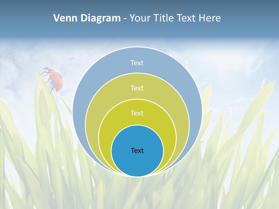 Background Meadow Flower PowerPoint Template