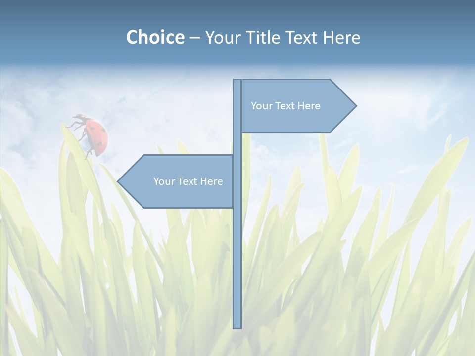 Background Meadow Flower PowerPoint Template