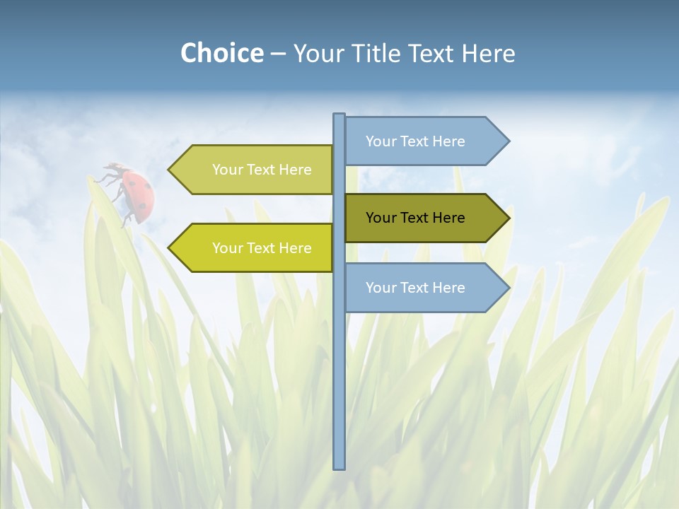 Background Meadow Flower PowerPoint Template