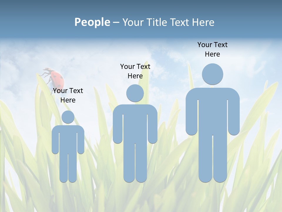 Background Meadow Flower PowerPoint Template