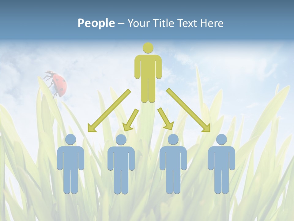 Background Meadow Flower PowerPoint Template