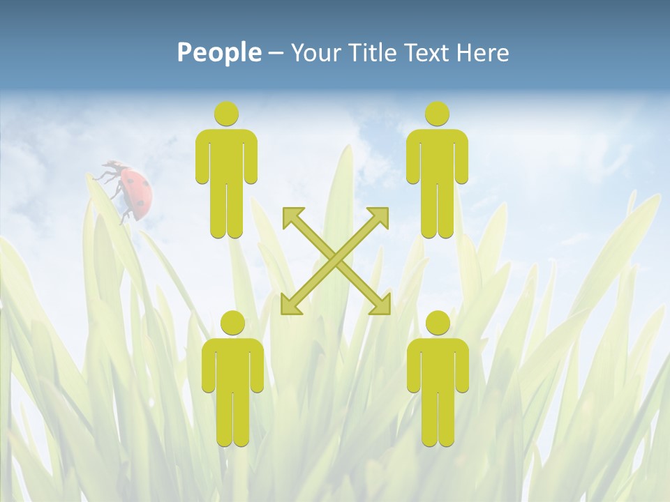 Background Meadow Flower PowerPoint Template