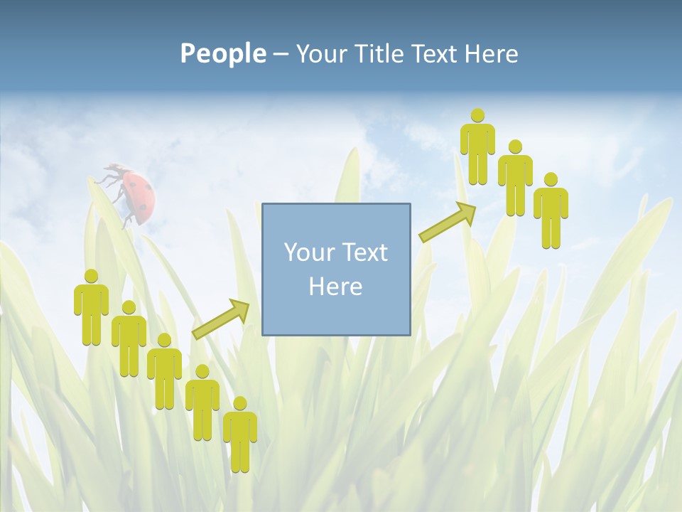 Background Meadow Flower PowerPoint Template