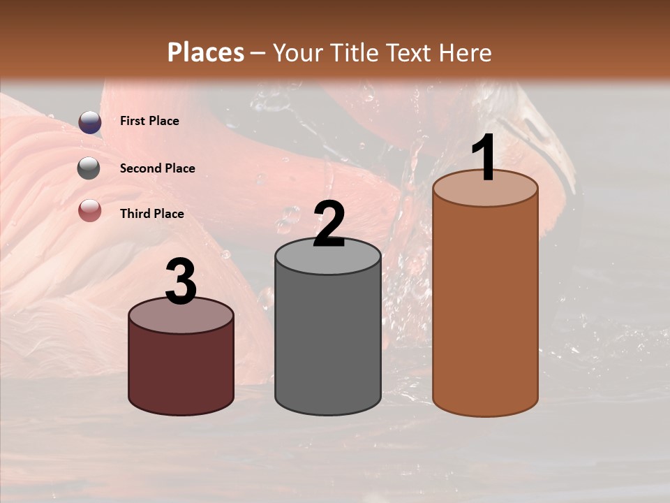 People Management Figure PowerPoint Template