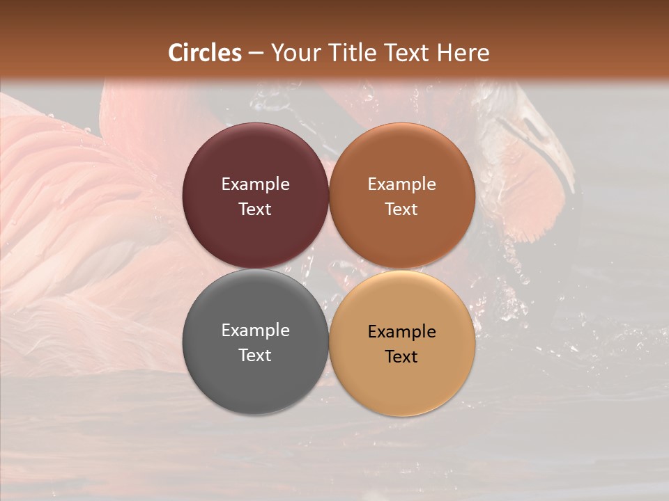 People Management Figure PowerPoint Template