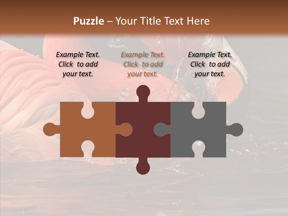 People Management Figure PowerPoint Template