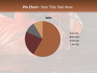 People Management Figure PowerPoint Template
