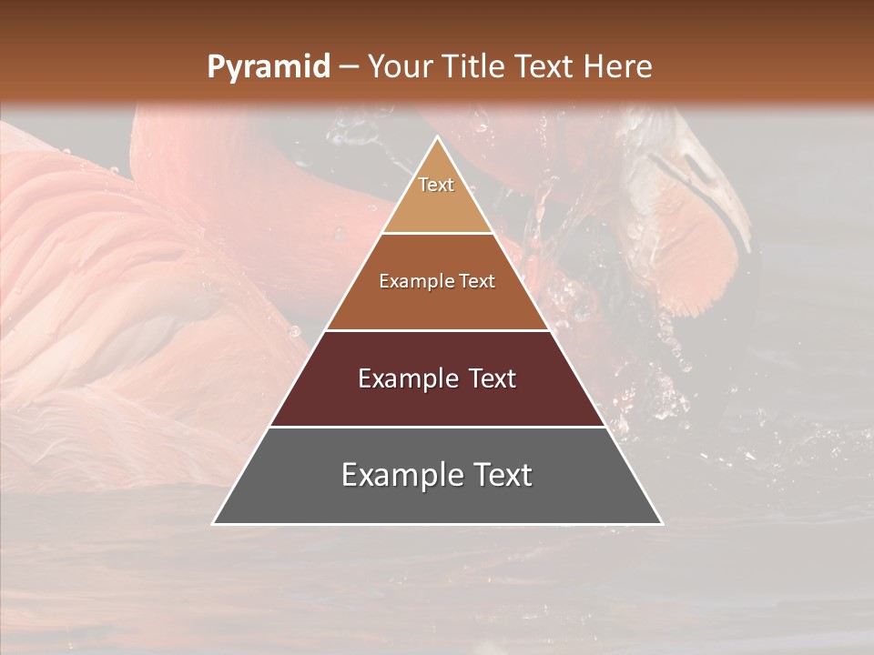 People Management Figure PowerPoint Template