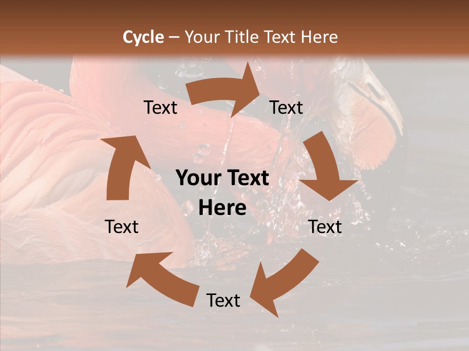 People Management Figure PowerPoint Template