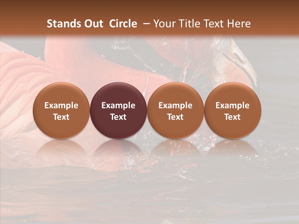 People Management Figure PowerPoint Template