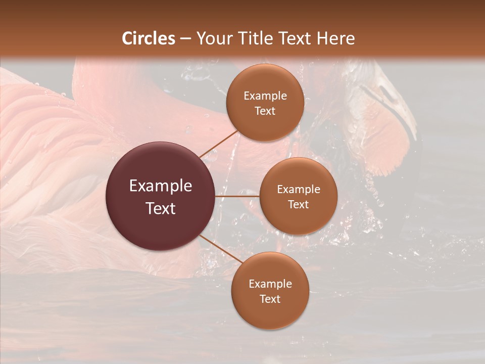 People Management Figure PowerPoint Template