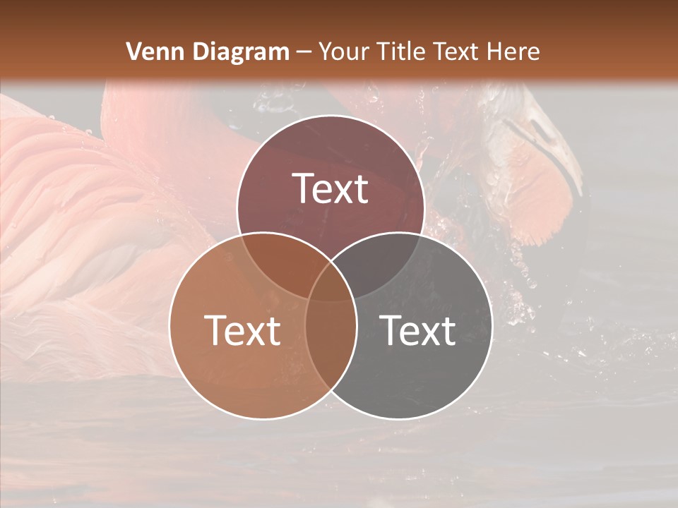 People Management Figure PowerPoint Template