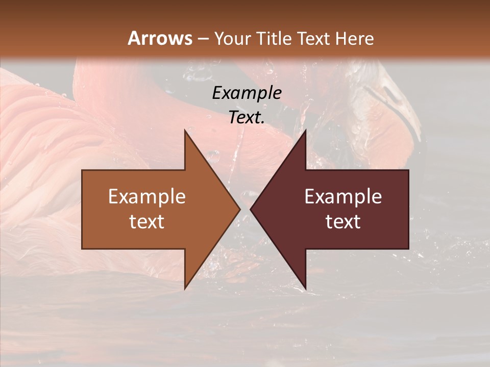 People Management Figure PowerPoint Template