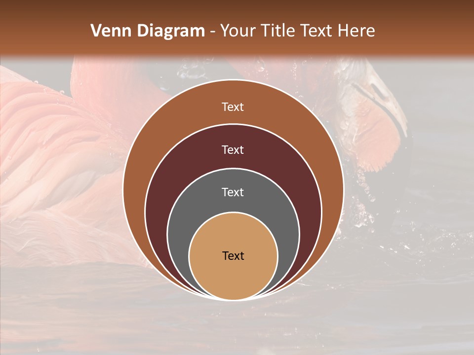 People Management Figure PowerPoint Template