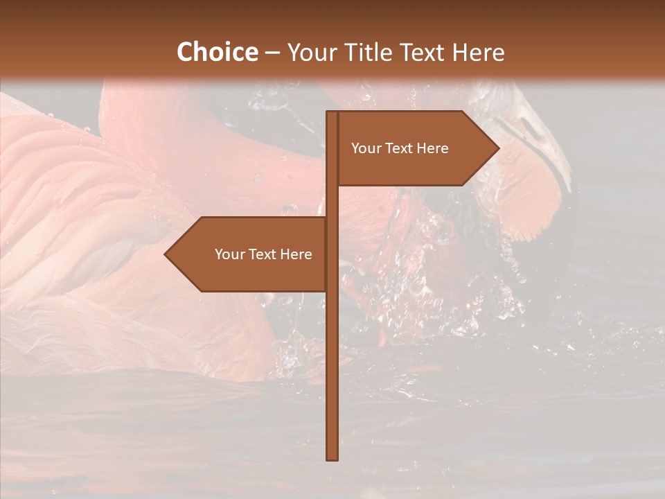 People Management Figure PowerPoint Template