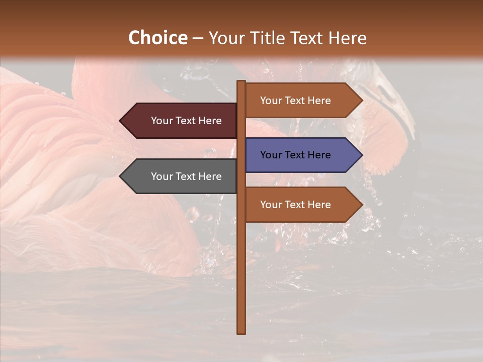 People Management Figure PowerPoint Template