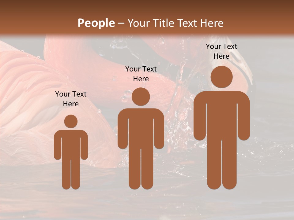 People Management Figure PowerPoint Template