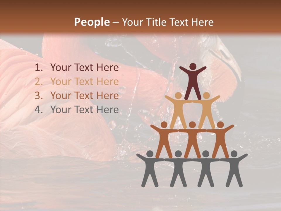 People Management Figure PowerPoint Template