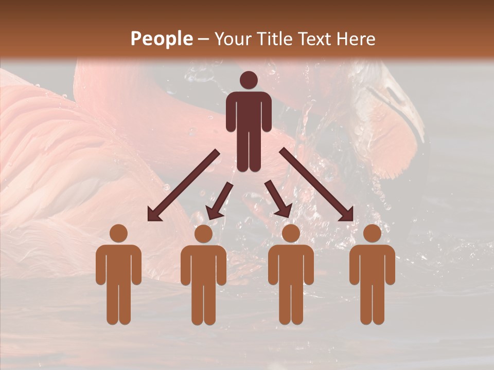 People Management Figure PowerPoint Template