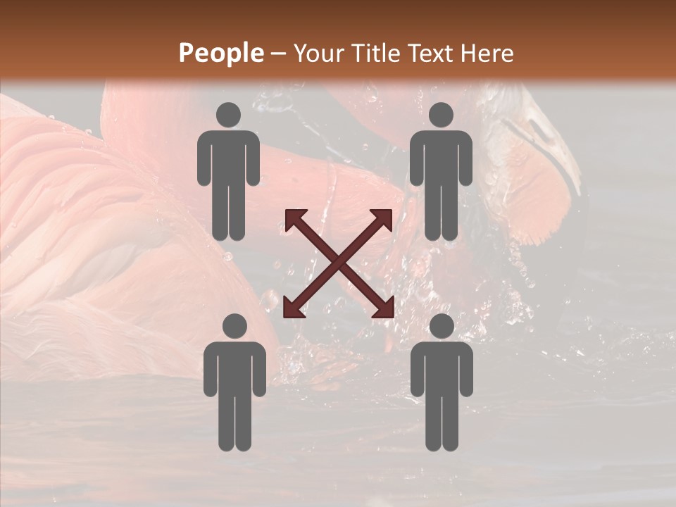 People Management Figure PowerPoint Template
