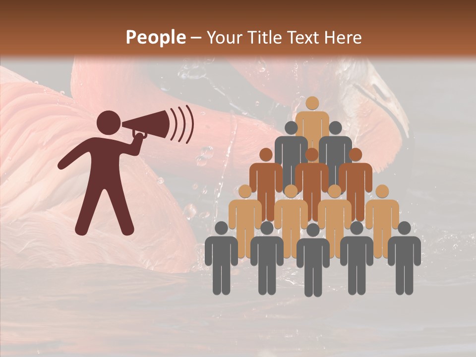 People Management Figure PowerPoint Template