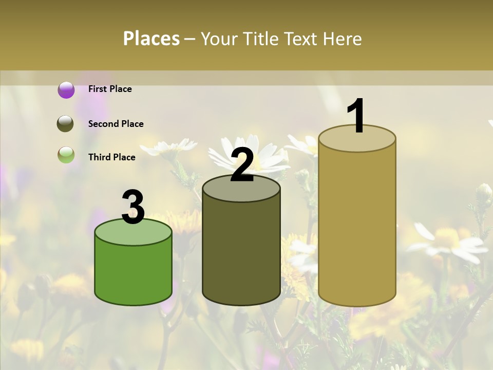 Meadow Macro Growth PowerPoint Template