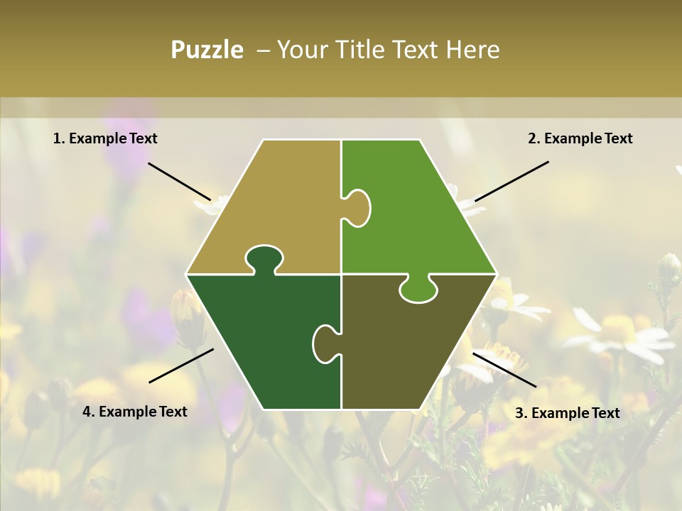 Meadow Macro Growth PowerPoint Template