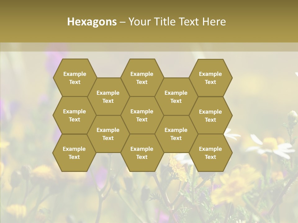 Meadow Macro Growth PowerPoint Template