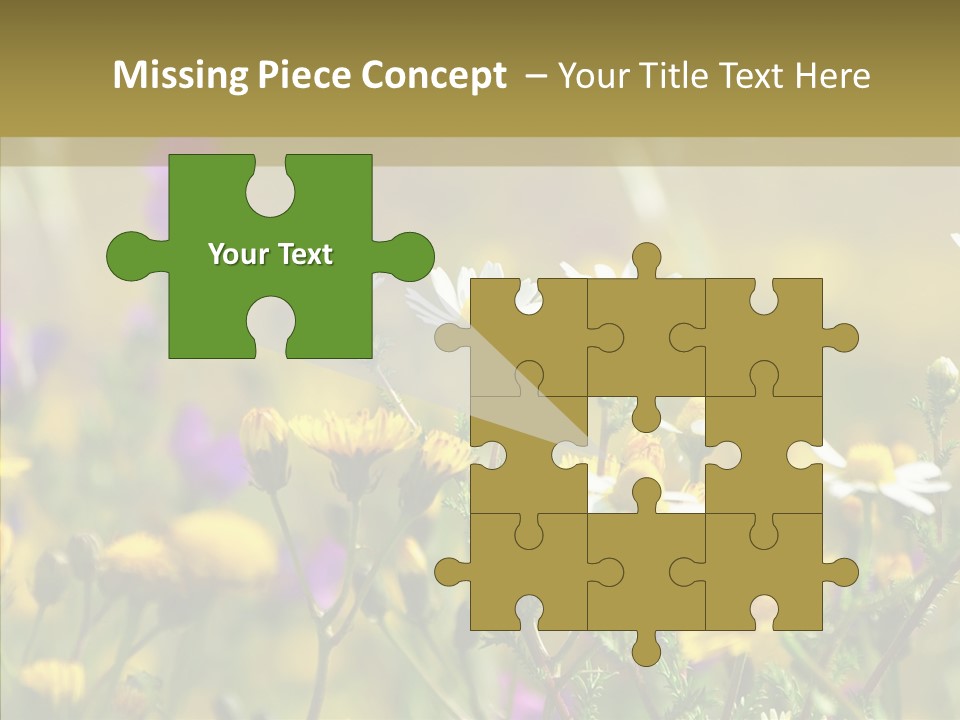 Meadow Macro Growth PowerPoint Template