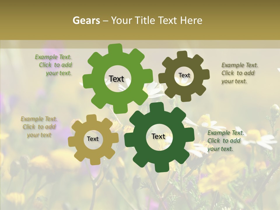 Meadow Macro Growth PowerPoint Template