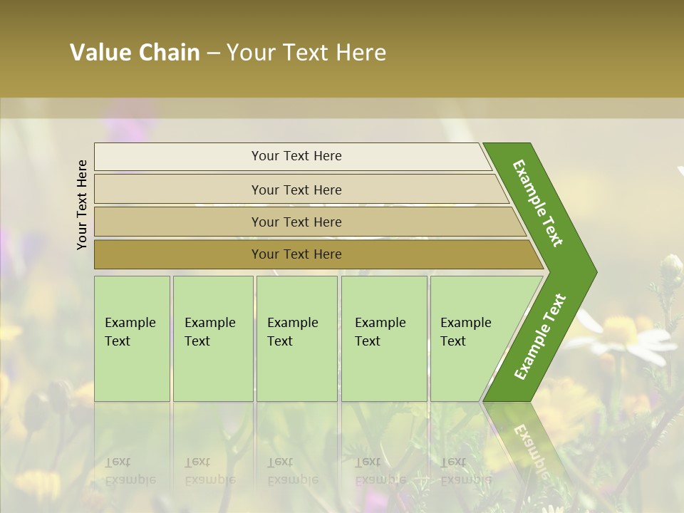 Meadow Macro Growth PowerPoint Template