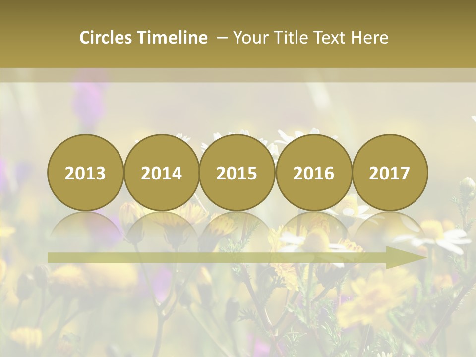 Meadow Macro Growth PowerPoint Template