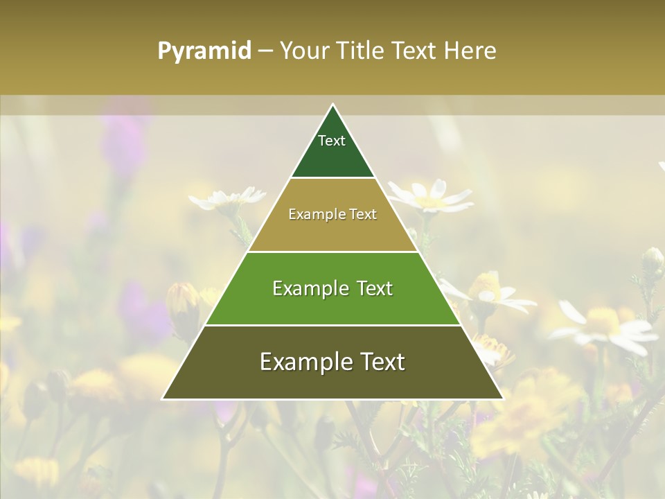 Meadow Macro Growth PowerPoint Template