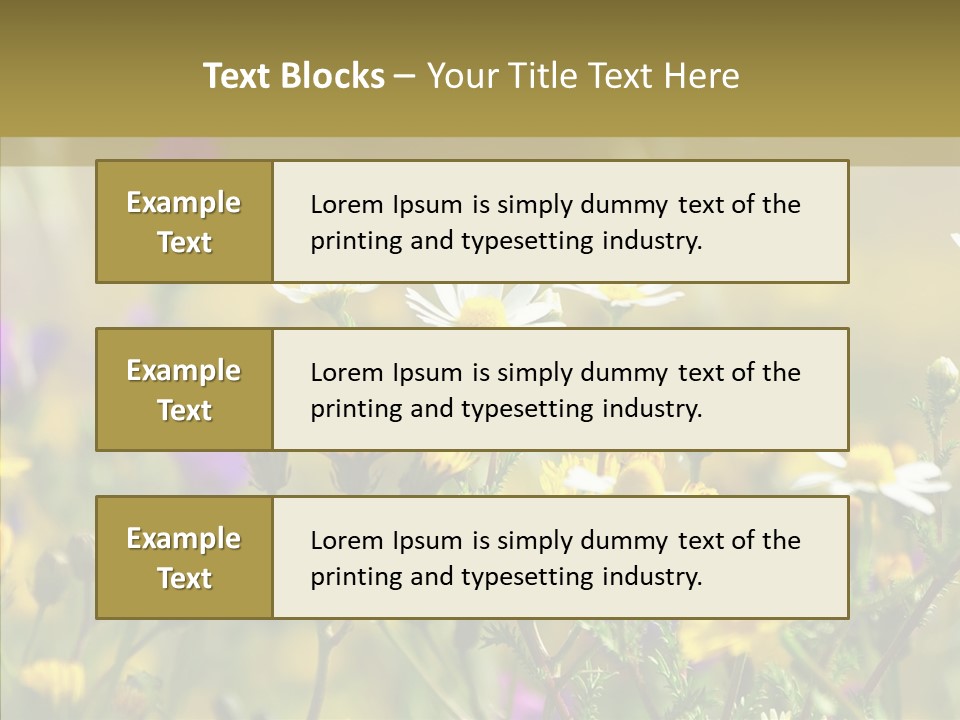 Meadow Macro Growth PowerPoint Template