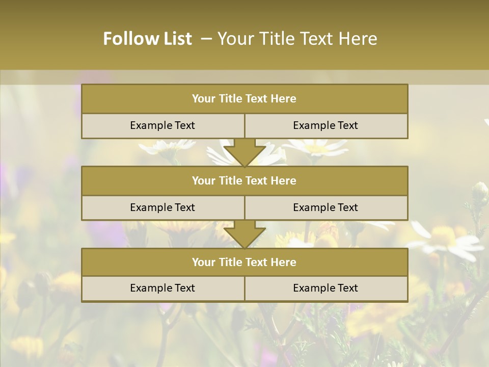 Meadow Macro Growth PowerPoint Template