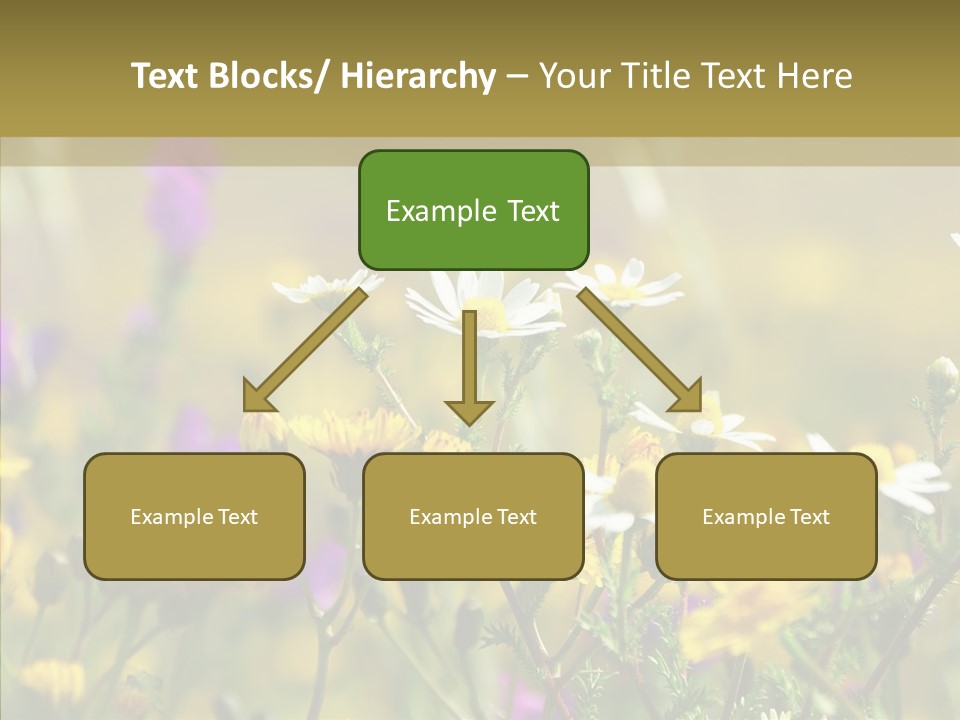Meadow Macro Growth PowerPoint Template