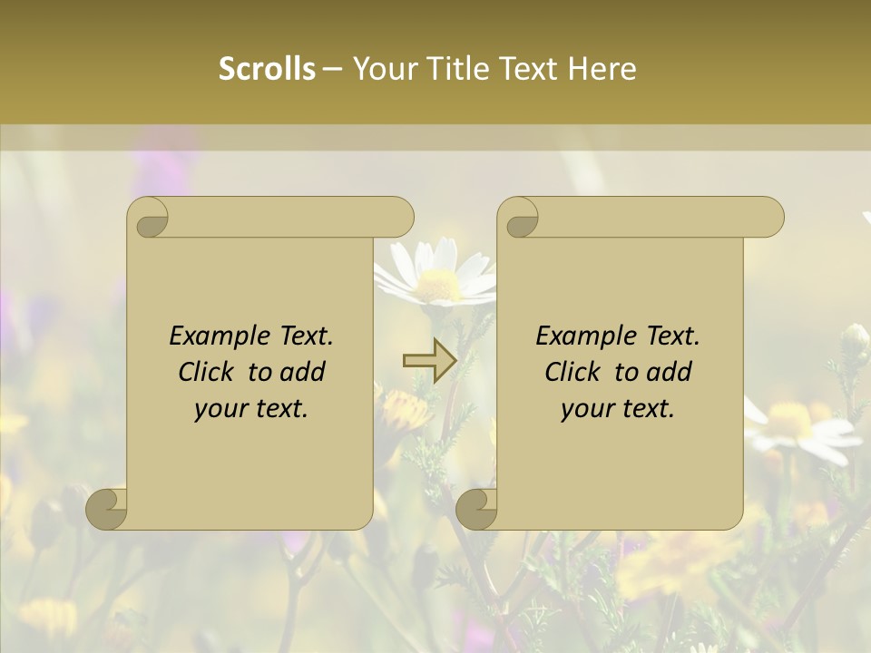 Meadow Macro Growth PowerPoint Template
